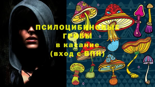 каннабис Аркадак