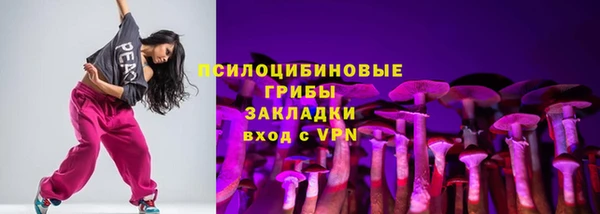 соль ск Арсеньев