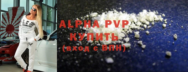 шишки Тайга
