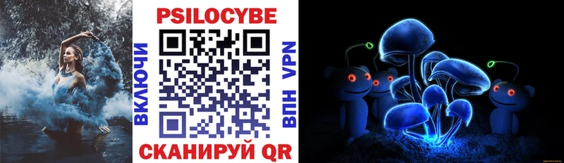 Галлюциногенные грибы Psilocybe  где можно купить   Поронайск 